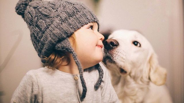 こどもやお友達へ贈る英語のお誕生日メッセージ 30の簡単シンプル英文例 おうちバイリンガル